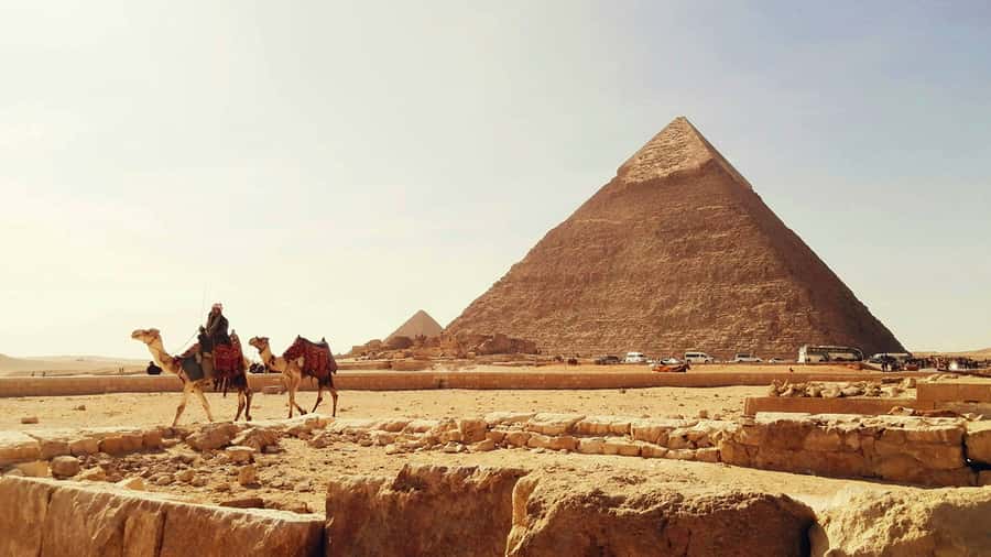 Cairo: Giza Pyramids Camel Ride and Egyptian Museum Tour - Should You Book This Cairo Giza Pyramids Camel Ride and Egyptian Museum Tour?