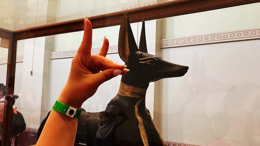 Cairo: Giza Pyramids, Egyptian Museum & Nile Dinner Cruise. - Price and Logistics: Is $145 Good Value?