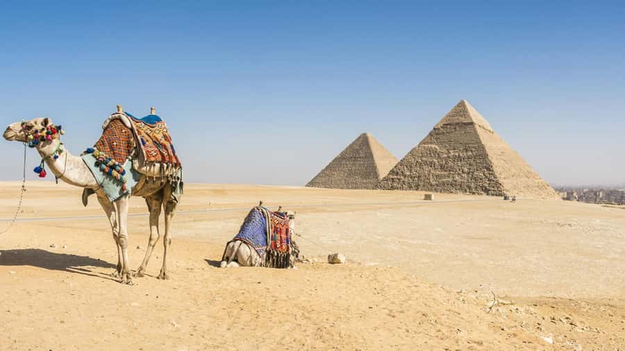 Cairo: Giza Pyramids, Memphis, Saqqara Private Tour & Lunch - Key things I’d plan around