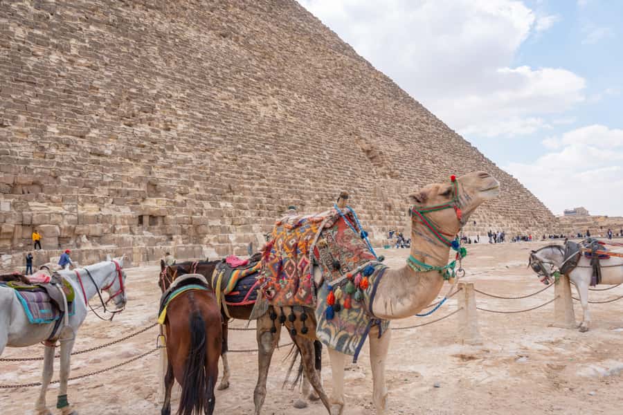 Cairo: Giza Pyramids, Museum & Tahrir Square Private Tour. - Skip-the-line access: what it means in real time