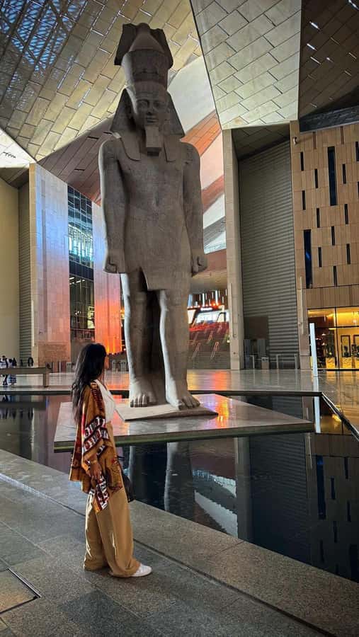 Cairo: Grand Egyptian Museum, Giza Pyramids and Sphinx Tour - Inside the museum: what the 12 exhibition halls do for you