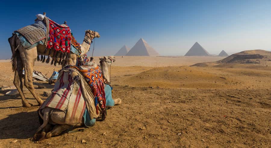Cairo: Great Pyramids of Giza and Egyptian Museum Tour - Hotel pickup and transfers: why this matters in Cairo
