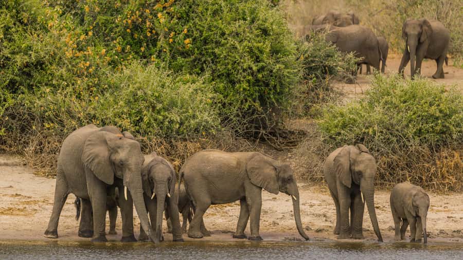 Cairo: Guided Day Trip to Africa Safari Park with Lunch - Getting From Cairo to Beheira Governorate: Transfers That Matter
