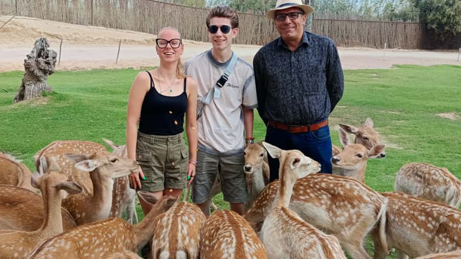 Cairo: Guided Day Trip to Africa Safari Park with Lunch - Reptiles and Falcons: How the 22 Species Show Up in Real Time