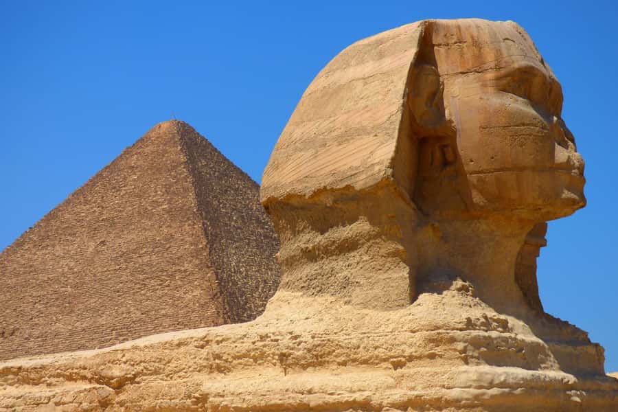 Cairo: Half Day Pyramids Tour by Camel or Horse Carriage - Who this tour suits best in Egypt