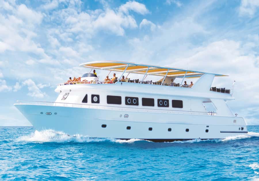 Cairo: Luxury Snorkeling Cruise & lunch with optional pickup - Key things I’d circle before you book