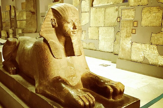 Cairo Museum Bible Tour - Quick hits: what makes this Cairo Bible museum tour special