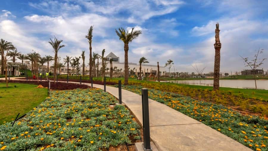 Cairo: National Museum and Egyptian Museum Tour with Lunch - Should You Book This Cairo Museum Tour?