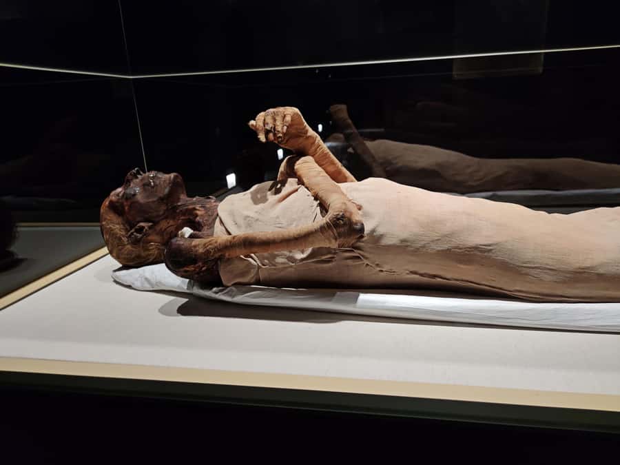 Cairo: National Museum of Egyptian Civilization Entry Ticket - Tickets and timing: how skip-the-line saves your Cairo day