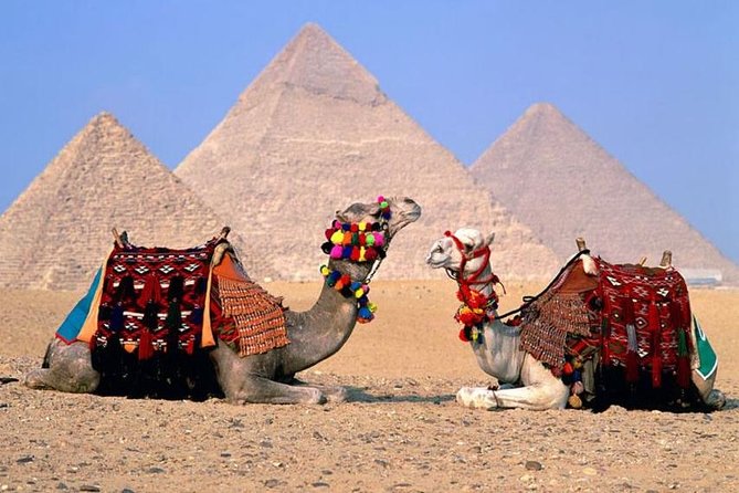 Cairo Over day Pyramids & Egyptian Museum and Lunch - Hurghada - The long drive to Giza: comfort tips that pay off