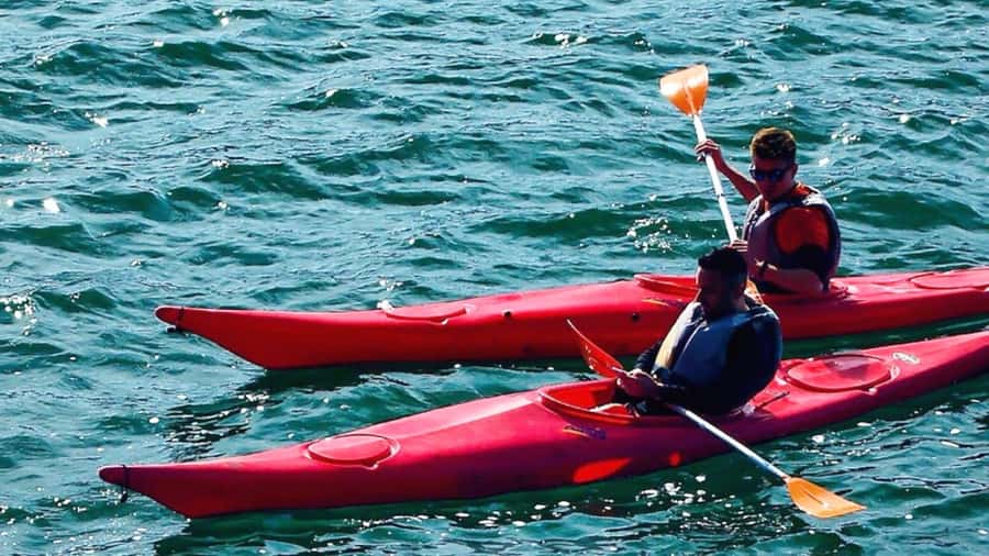 Cairo: Private Nile Kayaking Adventure with hotel transfers. - Round-trip flow: what happens before and after you paddle
