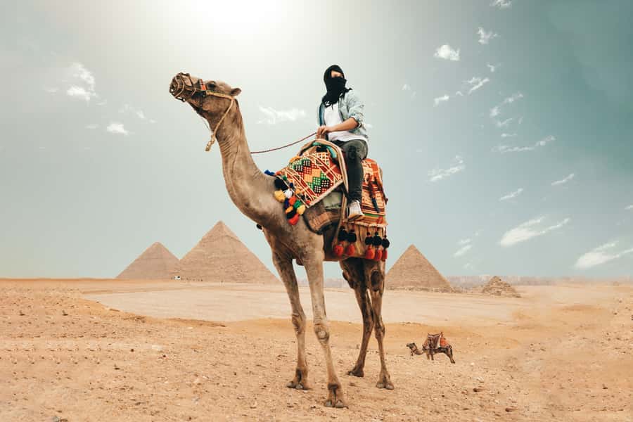 Cairo: Pyramids, Bazaar, Citadel Tour with Photographer - 30-Minute Camel Ride to the Great Sphinx: What to Expect and How to Enjoy It