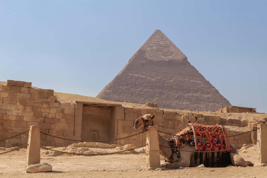 Cairo: Pyramids, Sphinx & Grand Egyptian Museum Private Tour - Main Galleries and Tutankhamun Galleries: 12 Halls Plus the Big Star