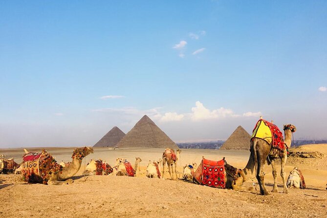Cairo Sightseeing Tour (Giza Pyramids + Museum + Khan el Khalili Bazaar) - Who this tour suits best