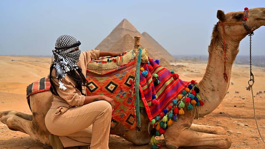 Cairo: Sunrise Camel Ride, Pyramids Tour & Local Breakfast. - Sunrise camel ride: the smartest way to do Giza