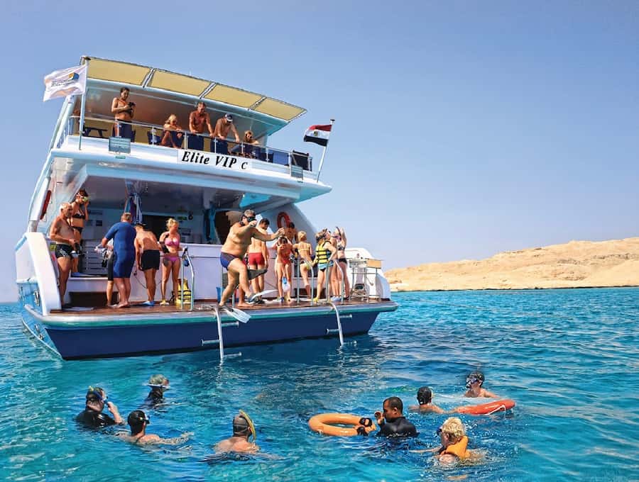 Cairo to Red Sea: VIP Yacht Cruise, Snorkeling & Lunch - Price and value: why $44 feels fair (and when it might not)