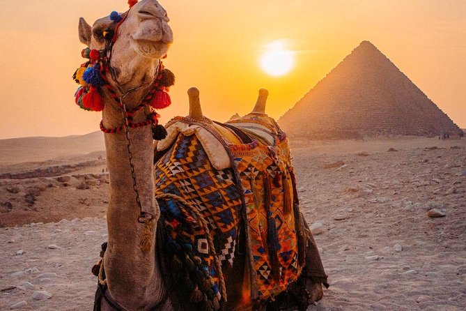 Cairo tour/ Day tour to Giza Pyramids,Egyptian Museum,Islamic or Coptic Cairo - Key things that make this tour worth your attention
