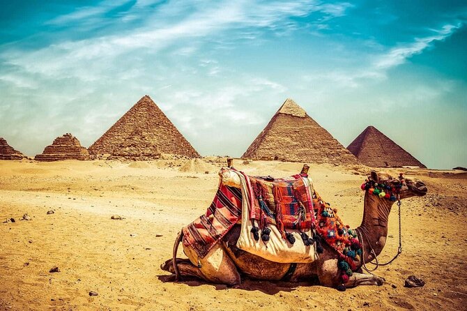 Cairo Tour Full Day Hight Quality Pyramids , Museum from Hurghada - Price and value: is $79 a fair deal for this much Cairo?