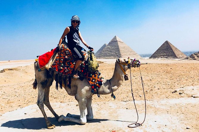 Cairo Unusual Day Tour Visit Camel Market in Birqash - The camel trade reality check: what to know before you go