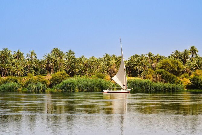 Cairo's Nile Cruise entertainment belly dancer&Tanora show&Dinner - Key Things to Know Before You Go