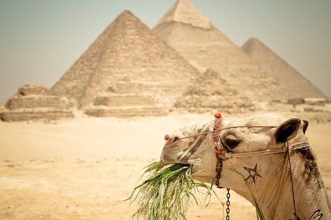 Camel Ride around the Pyramids During Sunrise Or Sunset - Why sunrise or sunset at Giza changes the ride