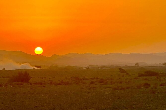 Camel Ride, Bedouin Dinner and Star Gazing in Marsa Alam - The 30-minute camel ride: fun, but also your first reality check