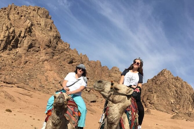 Camel ride & Bedouin dinner quad safari in Sharm el Sheikh - Bedouin village tea and camel time: cultural pause between thrill and dinner
