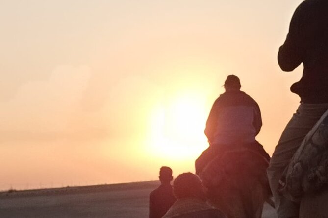 Camel Riding Tour in Luxor West Bank - Camel Riding in Luxor West Bank: how to get out of the city