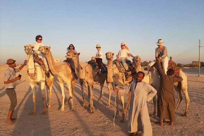 Camel Riding Tour in Luxor West Bank - Price and value: why $12 works (and when it might not)