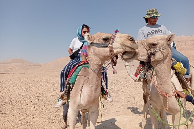 Camel Riding Tour in Luxor West Bank - Practical tips for a smoother ride (photos included)