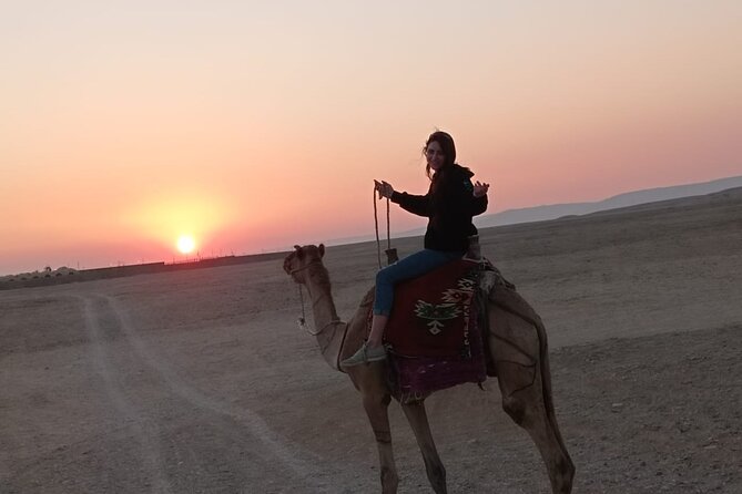 Camel Riding Tour in Luxor West Bank - Getting to the stables: pickup, meeting point, and what to bring