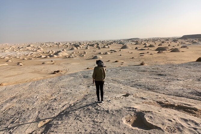Camping in the White & Black Deserts (Bahariya Oasis) & Cairo Private transfer - Day One: Cairo to Bahariya Oasis, Then Deep Desert Country