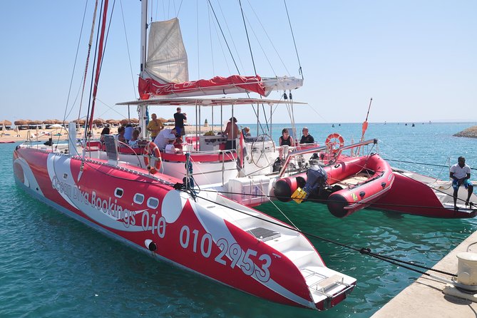 Catamaran Sailing Tour - Snorkeling at two stops: coral reef first, then a dolphin chance