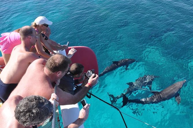 Catamaran Sailing Tour - Getting to the marina: pickup timing you should double-check