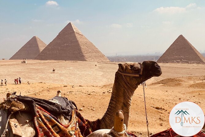 Civilization Museum, The Pyramids of Giza and Sphinx with launch - Private tour setup: who it suits best