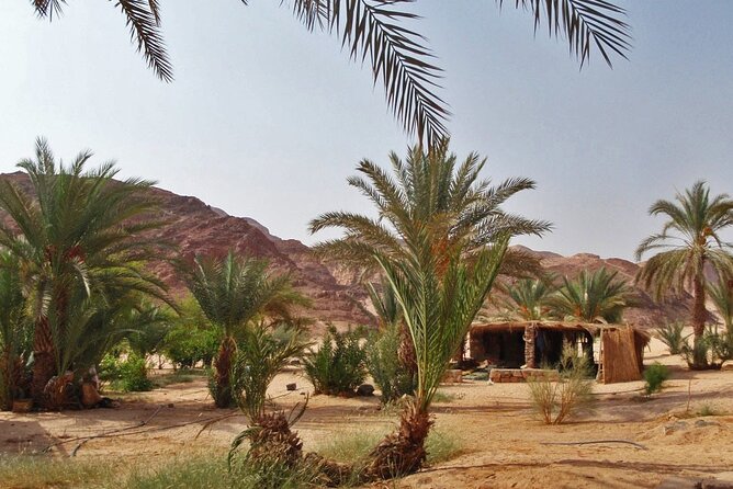 Coloured Canyon and White Canyon 1-day Jeep Safari From Dahab - The Dahab Canyons You’ll Actually See: White, Coloured, and Mushroom Rock