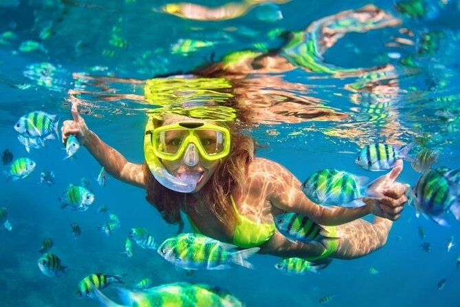 Conquest Semi Submarine Snorkeling Trip With transfer -Hurghada - Price and Value: What $4.61 Really Means (Plus Extras)