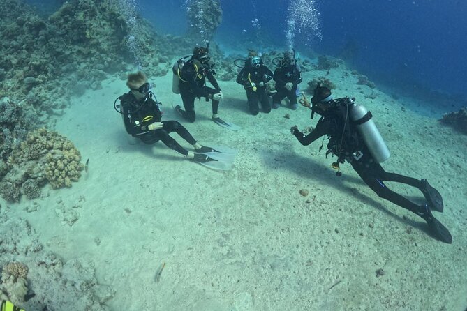 Course for Padi OW in Red Sea and Sinai - What stands out: patient coaching and well-kept gear