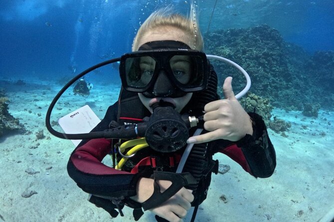Course for Padi OW in Red Sea and Sinai - The course rhythm: theory, skills, then open water time
