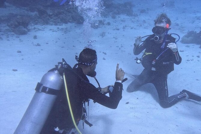 Course for Padi OW in Red Sea and Sinai - Why Hurghada works for your first PADI OW course