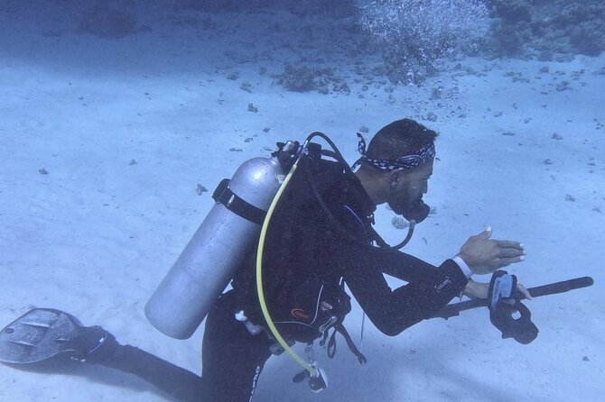 Course for Padi OW in Red Sea and Sinai - Price and logistics for the $450 per person course