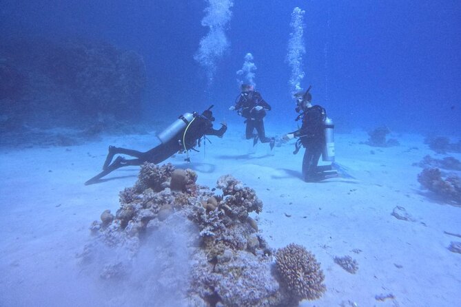 Course for Padi OW in Red Sea and Sinai - Getting picked up and starting at 8:00 am without stress