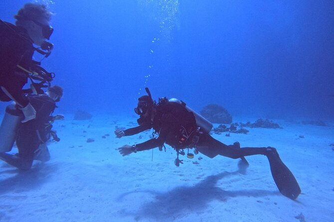 Course for Padi OW in Red Sea and Sinai - Confined water skills: the drills that turn fear into control