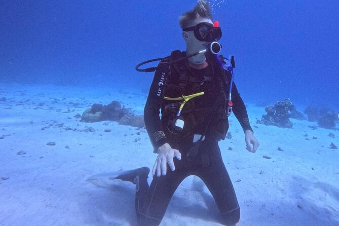 Course for Padi OW in Red Sea and Sinai - Equipment familiarization: clean gear and confidence in your hands