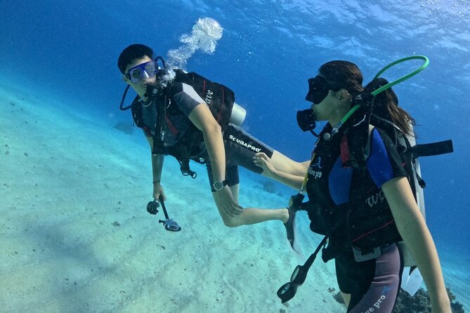 Course for Padi OW in Red Sea and Sinai - Key points I’d plan around