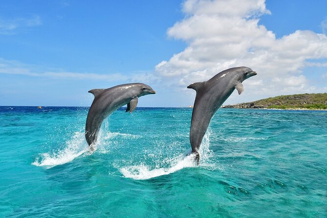 Cruise and Snorkeling with Dolphins Including Lunch from Hurghada - Banana boat and sofa boat: the fun extras you’ll be glad are included