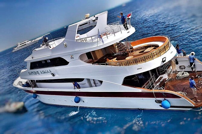 Cruise and Snorkeling with Dolphins Including Lunch from Hurghada - Boat crew and cleanliness: the difference between a good trip and a great one
