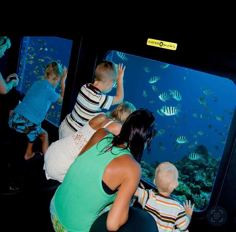 Dahab: Royal seascope Semi-Submarine Cruise - Underwater Time (About 45 Minutes): AC Comfort and Fish-Eye Windows
