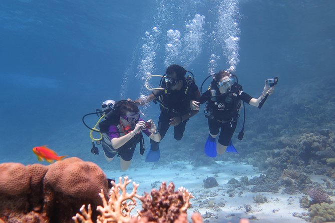 Daily 2 Dives with Equipment from Hurghada - 8:00 pickup and the transfer reality check