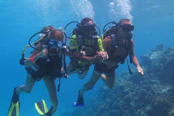 Daily 2 Dives with Equipment from Hurghada - Abu Ramada, Small Giftun, and Umm Gamar: what to expect under the surface
